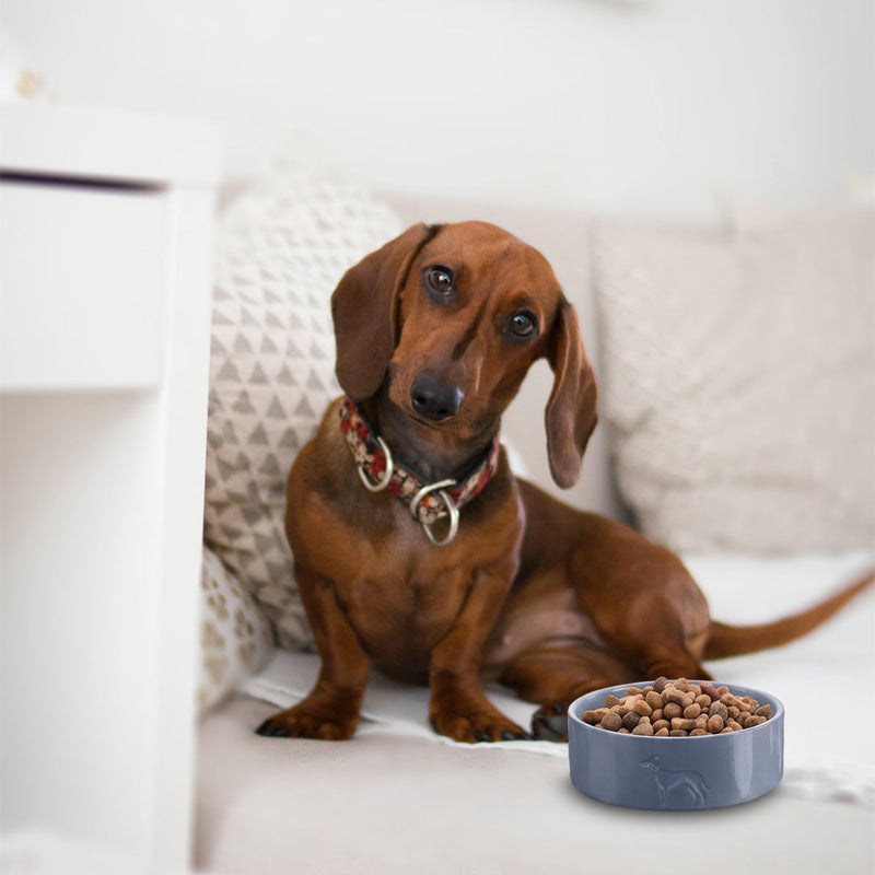 PRODUCTOS PARA PERRO
