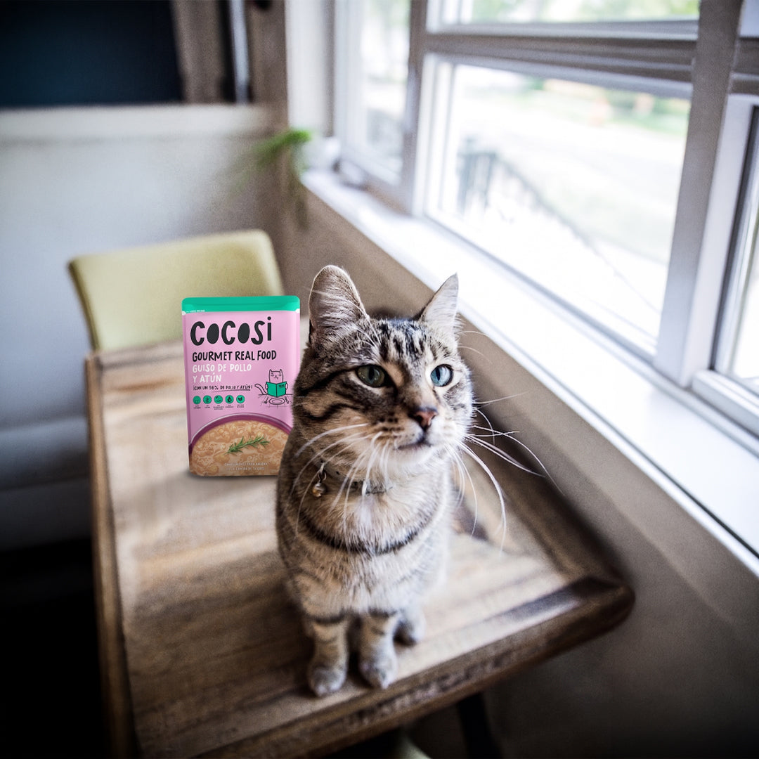 PRODUCTOS PARA GATO