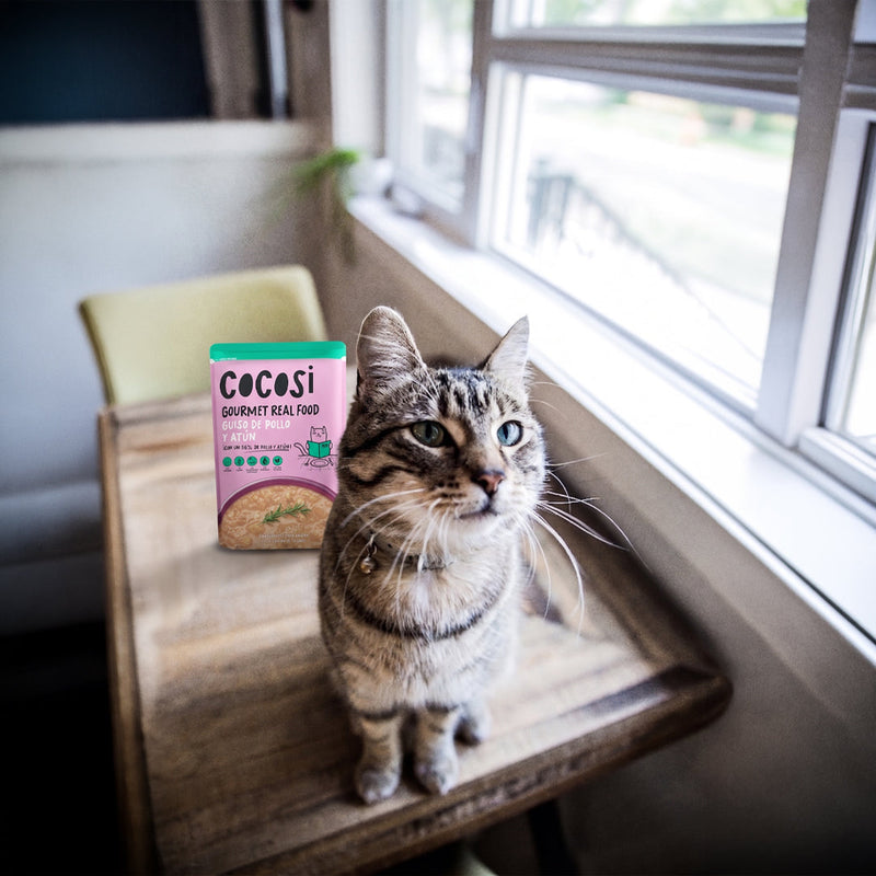 PRODUCTOS PARA GATO