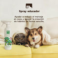 Cargar la imagen en la vista de la galería, Menforsan Spray Educador Antiorines 500 ml
