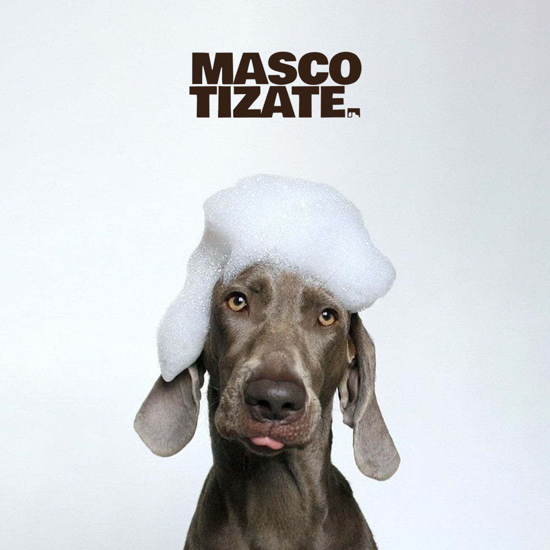 Menforsan Champú Aloe Vera para Perros 300 ml y 1 L