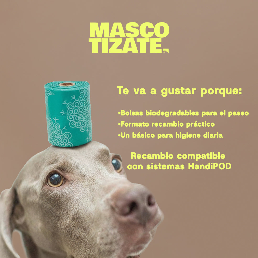 KONG Kit de Bolsas Biodegradables con Linterna y Desinfectante