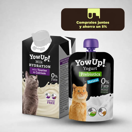 Kit Bienestar Digestivo para Gatos